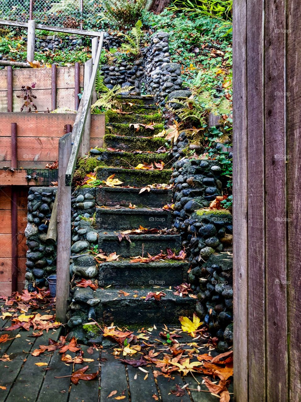 First Signs Of Autumn Foap Mission! Cottage Stairs Covered With Fall Leaves!