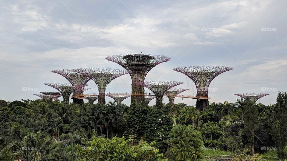 Gardens by the Bay in Singapore