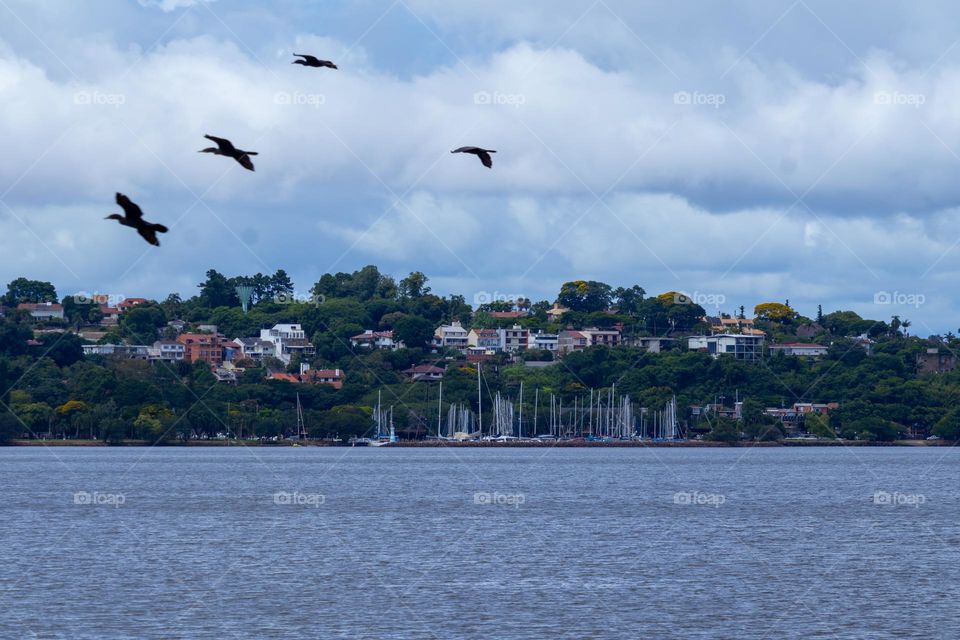 A picturesque view showing a serene coastal town nestled among lush vegetation under a cloudy blue sky, while flocks of birds glide gracefully over the calm waters, creating a sense of peace and harmony in nature.