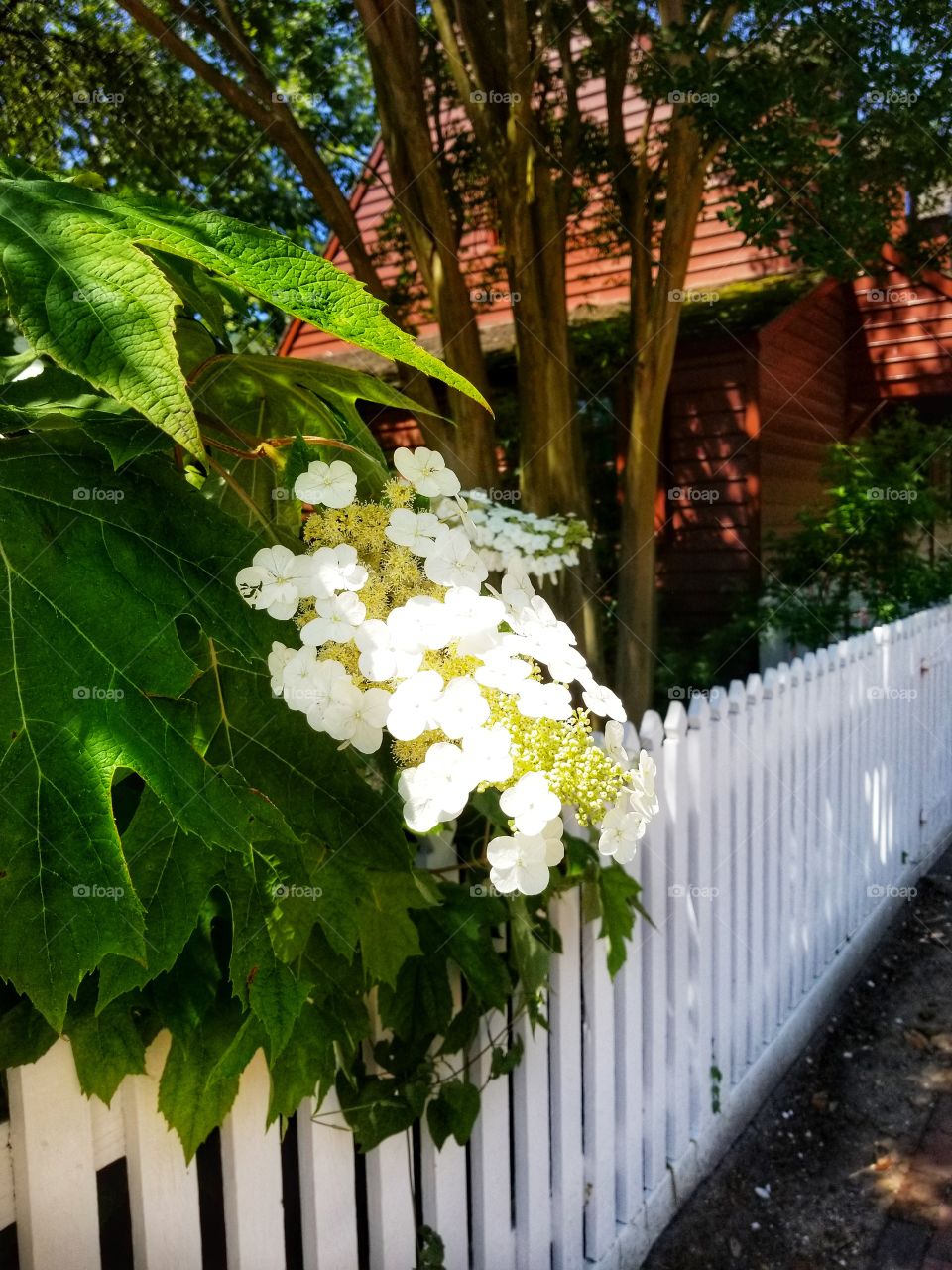 flowered fence