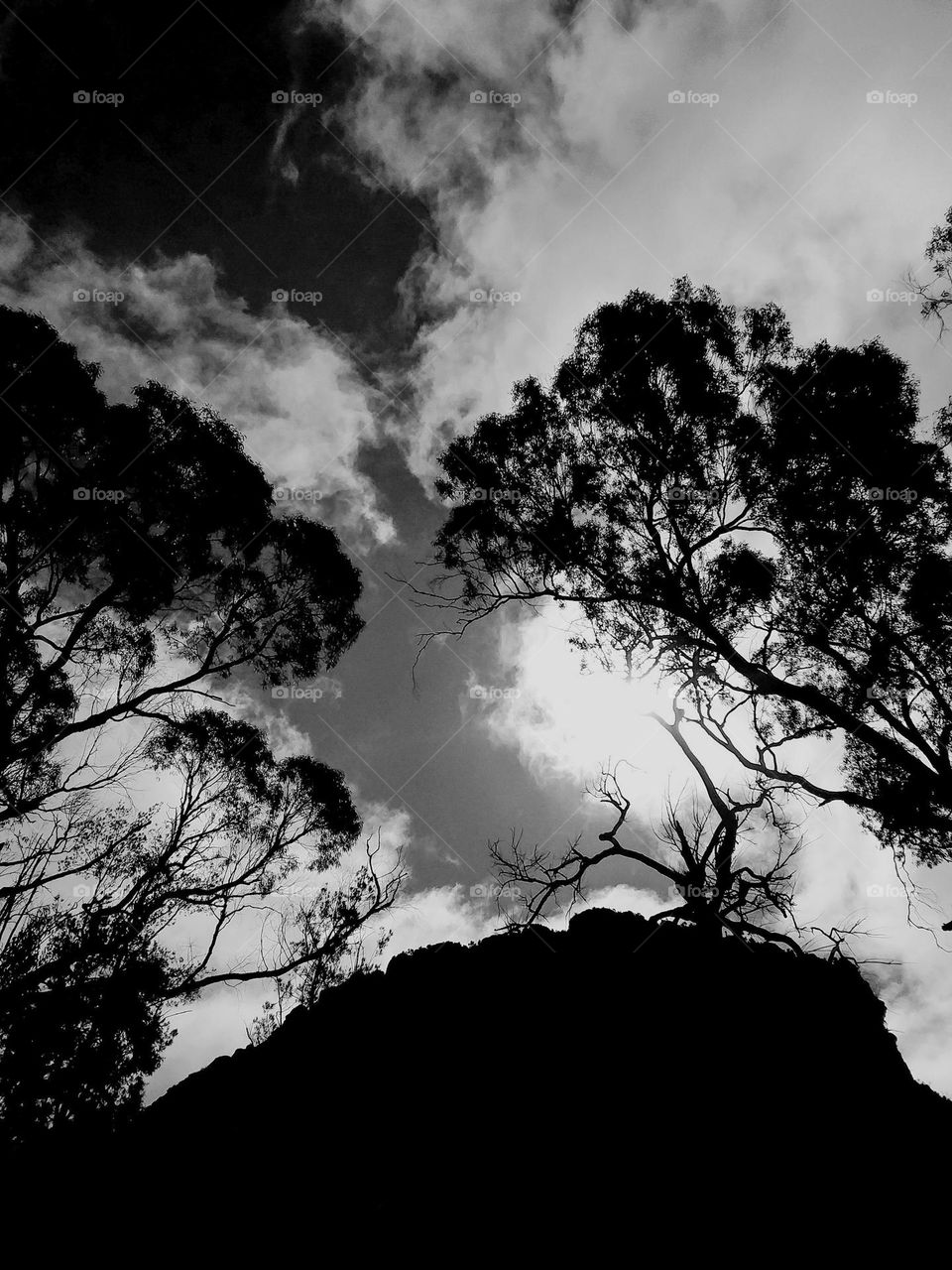 From the ground looking up at the sky