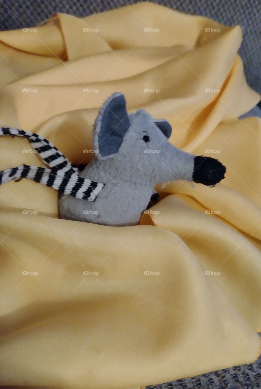 Color of the Year 2021