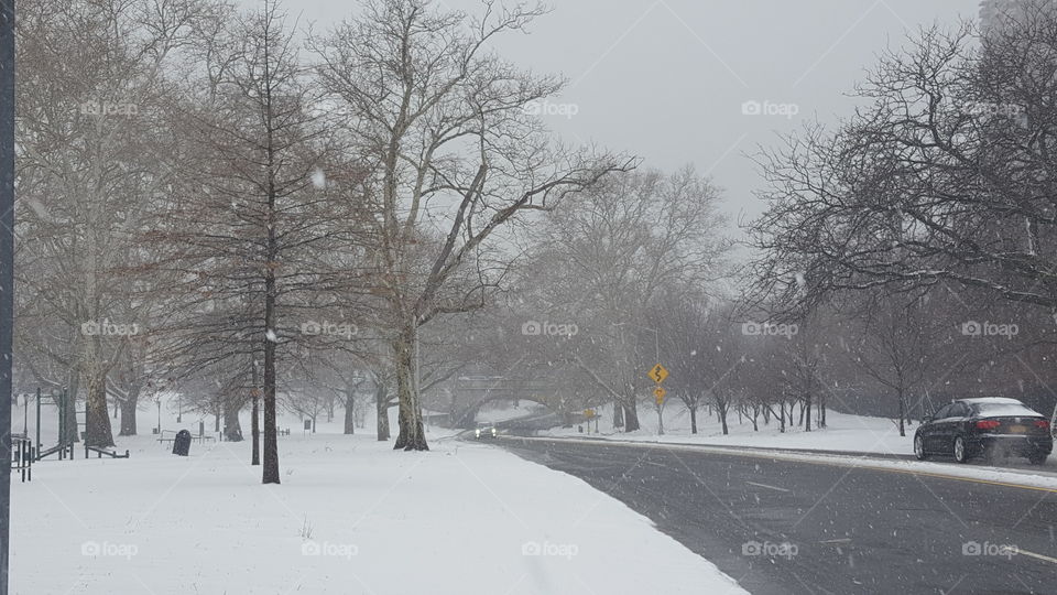 Winter scenic road