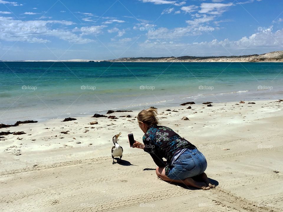 Woman alone crouched kneeling on beach taking photo of surprisingly tame seabird closeup with her mobile cellphone in remote South Australia, turquoise ocean, nature wildlife photography 