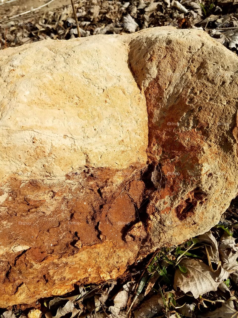 What can we Really see in a Rock