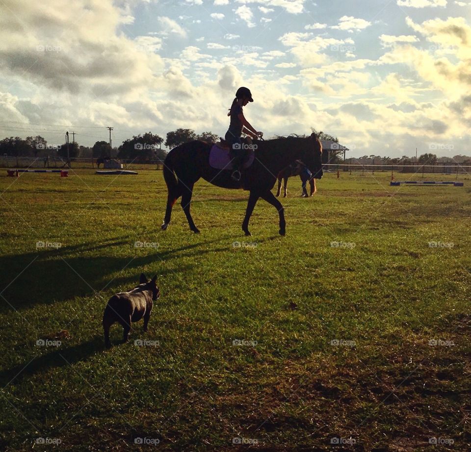 A girl and her horse