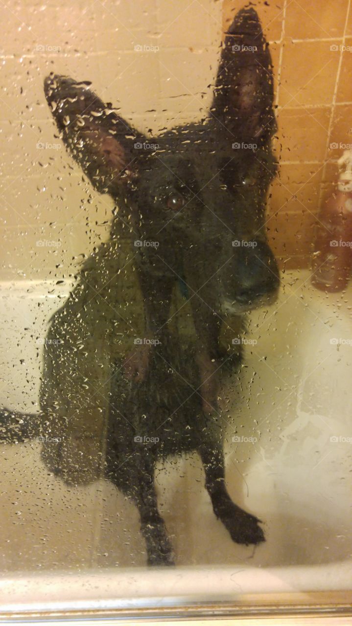 This of does not like showering