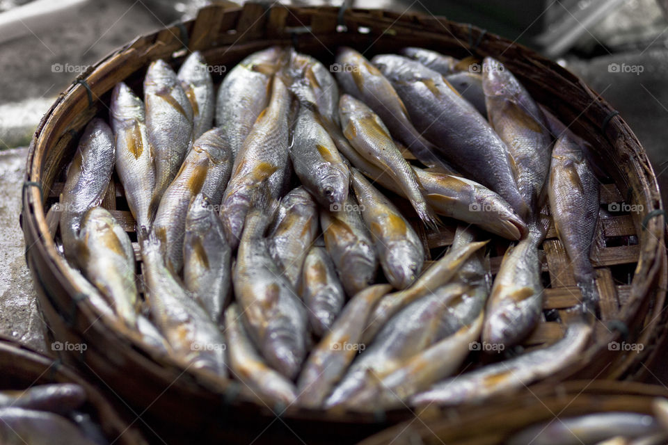 fresh catch of the day, fresh fish at the market