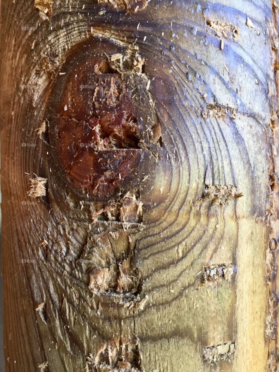 Creative Textures - surface of wooden fence post