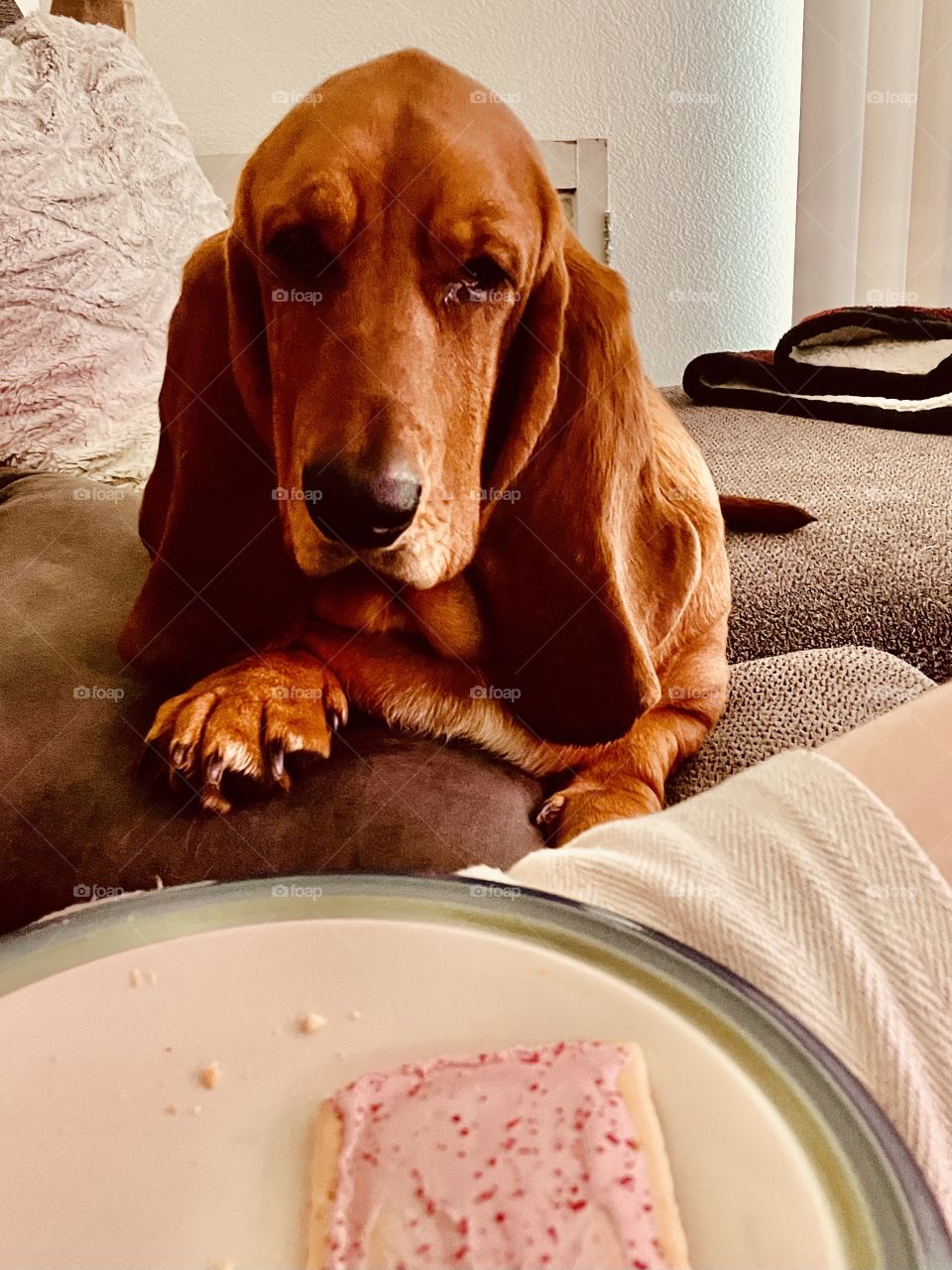 Manifesting this pop tart into my mouth 