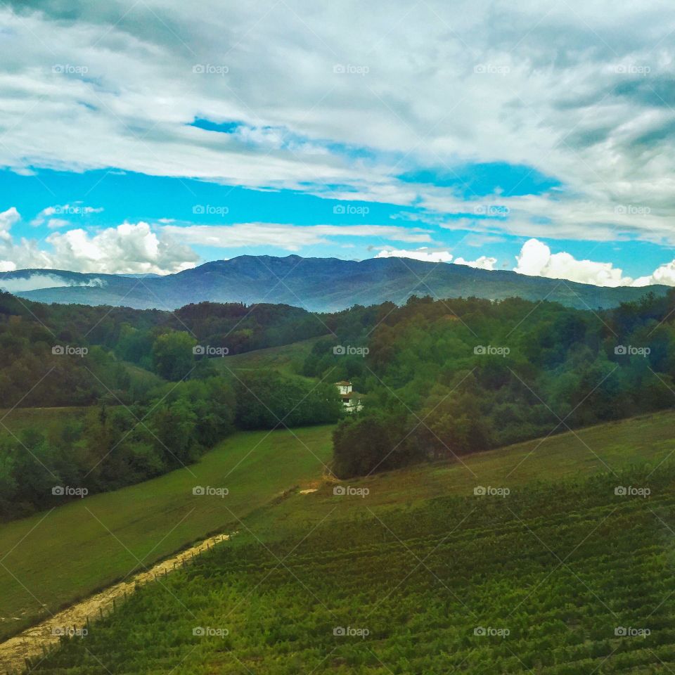 Tuscany fields 