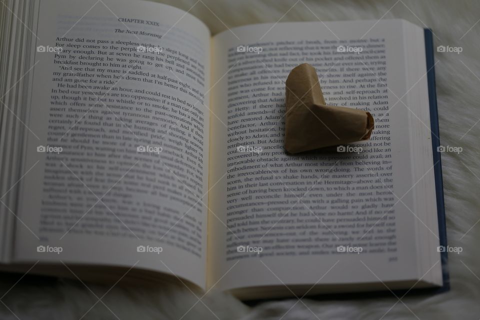 Love book