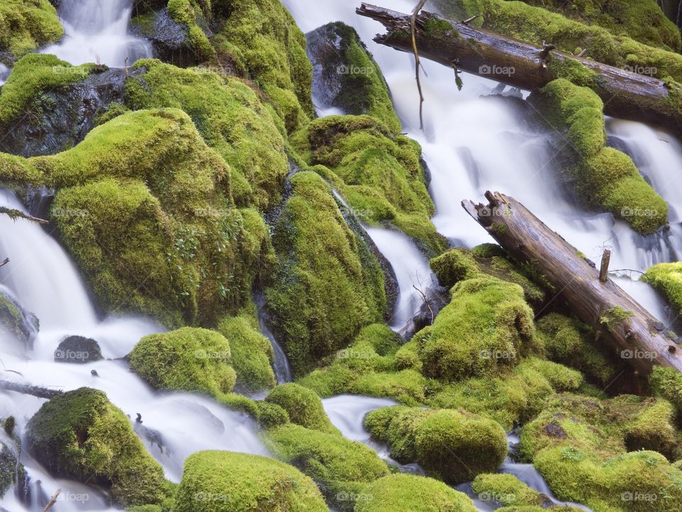 The mountain cold and fresh waters of Clearwater Falls rushing over moss covered rocks and slick wet logs on a sunny spring morning in Southwestern Oregon.