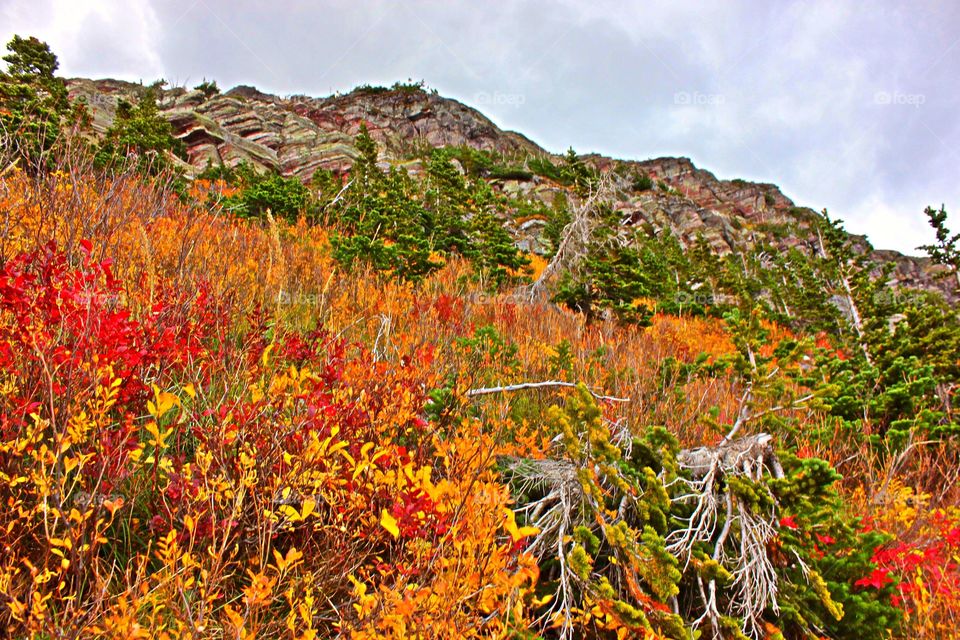 Autumn colors in the nature 