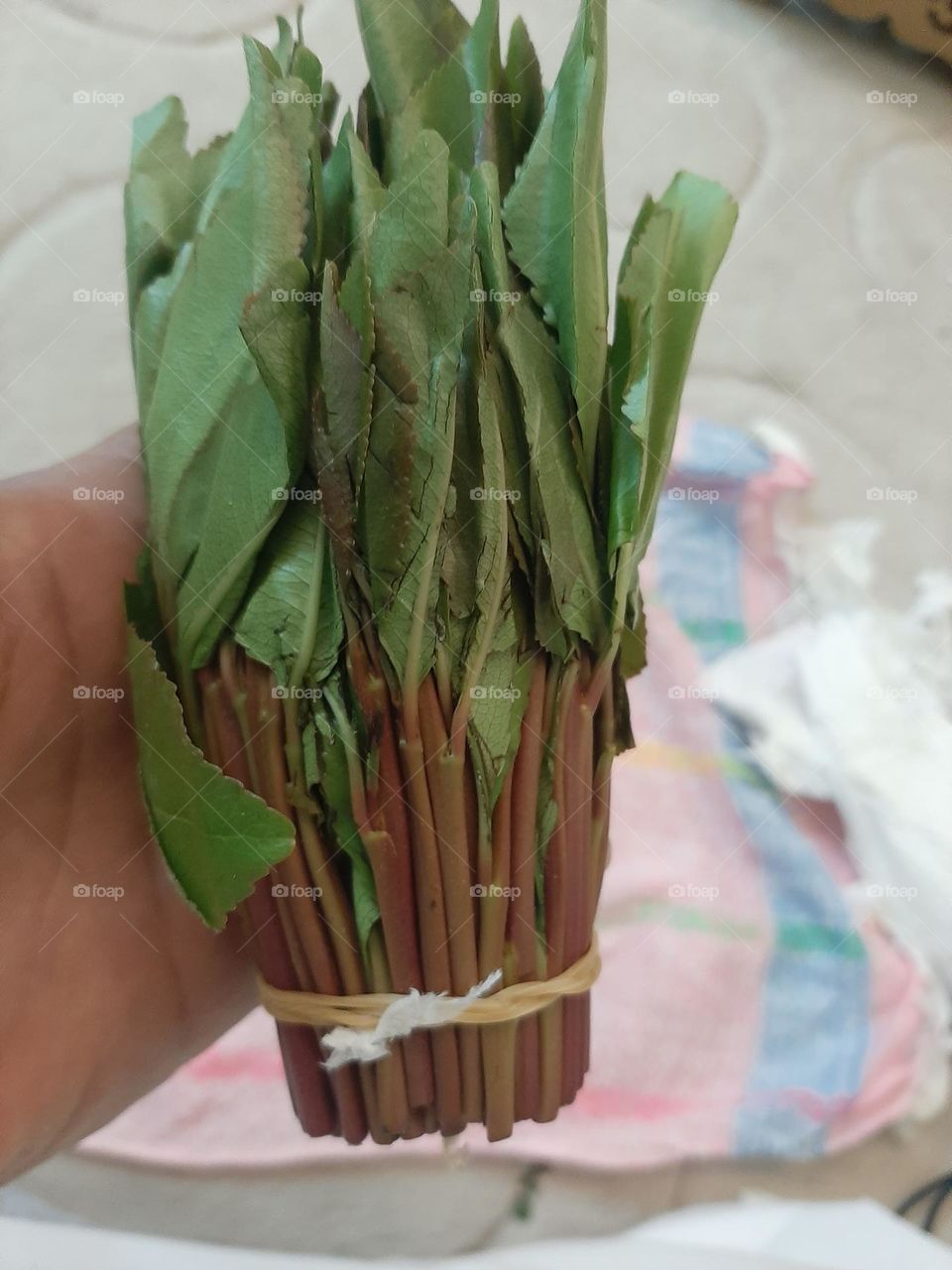 Please make me happy, I am poor, I need your help with support