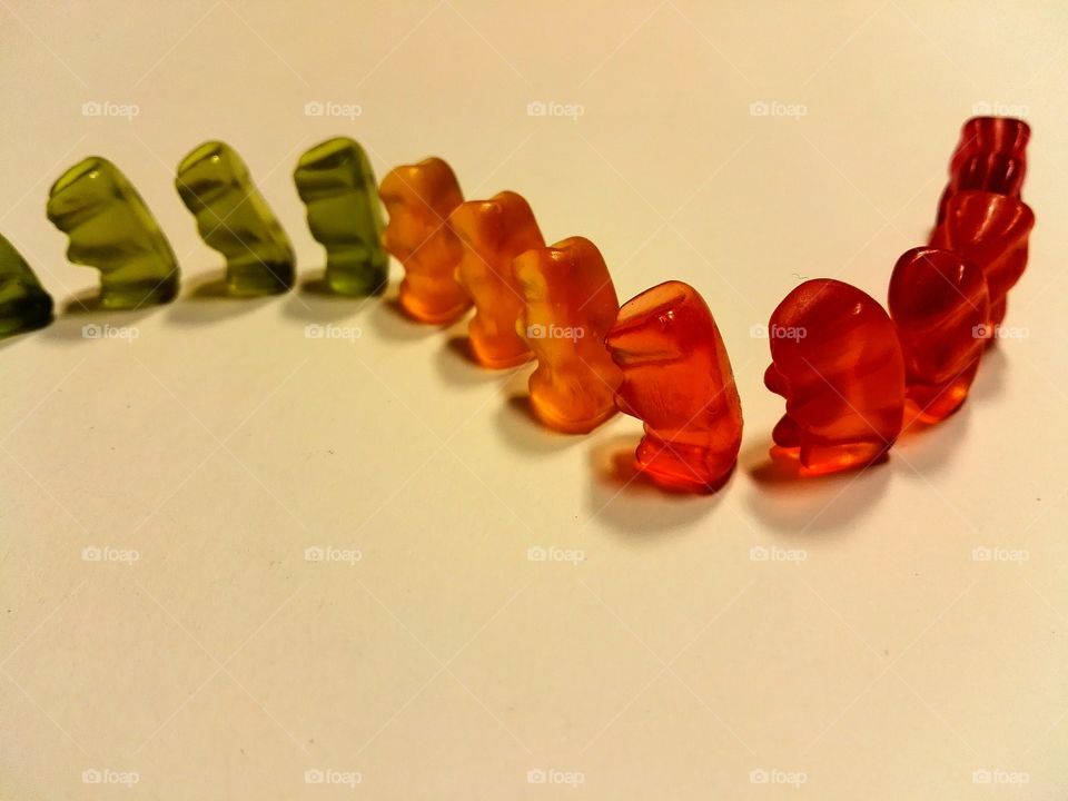 rubber bears we are all thesame