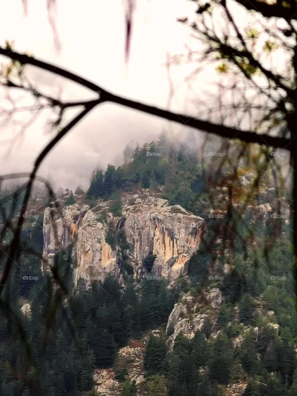 morning mountain