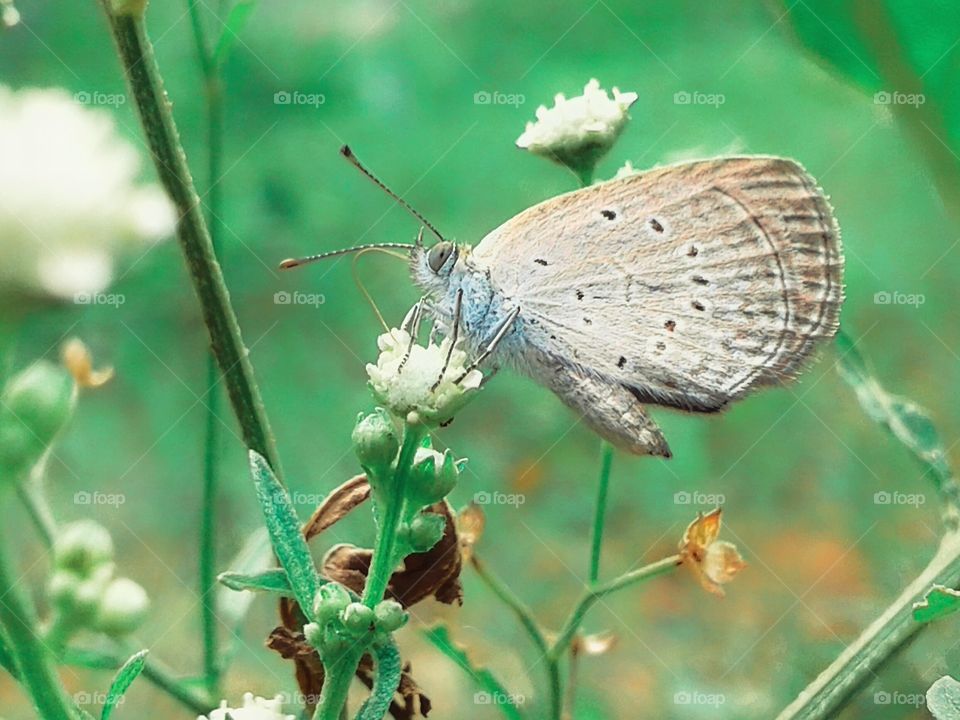 if nothing ever changed there would be no butterfly