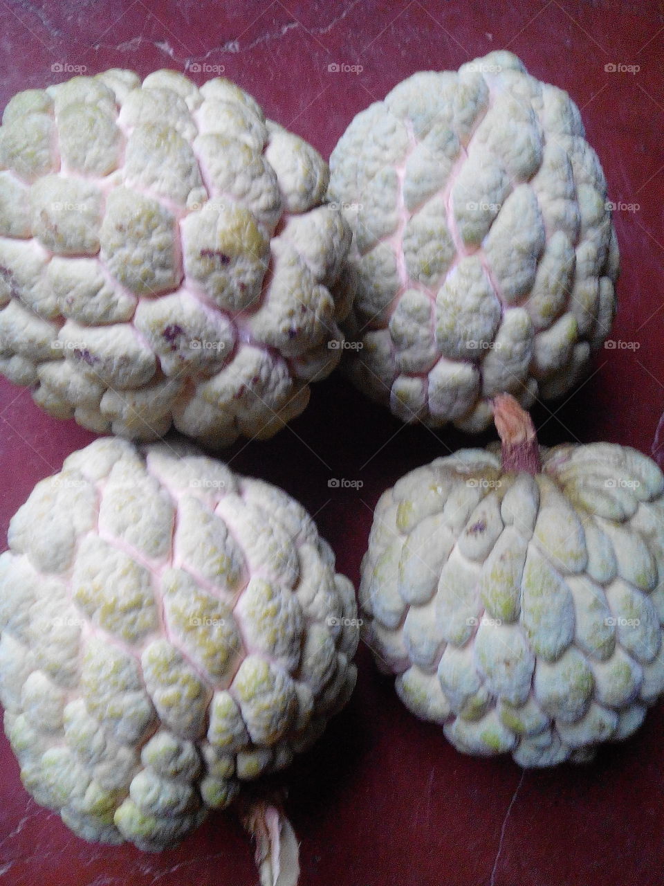 sugar apple