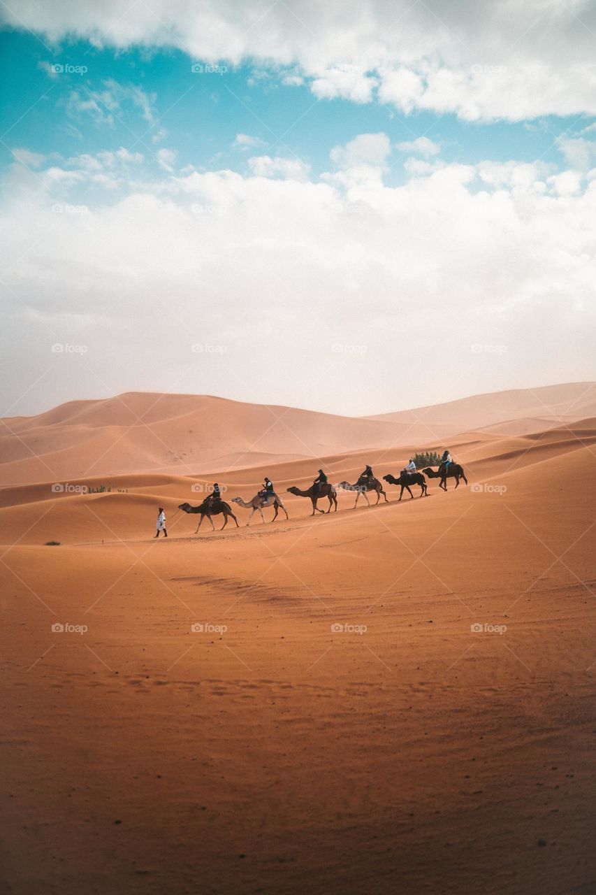 Beautiful scenery in the desert of Morocco