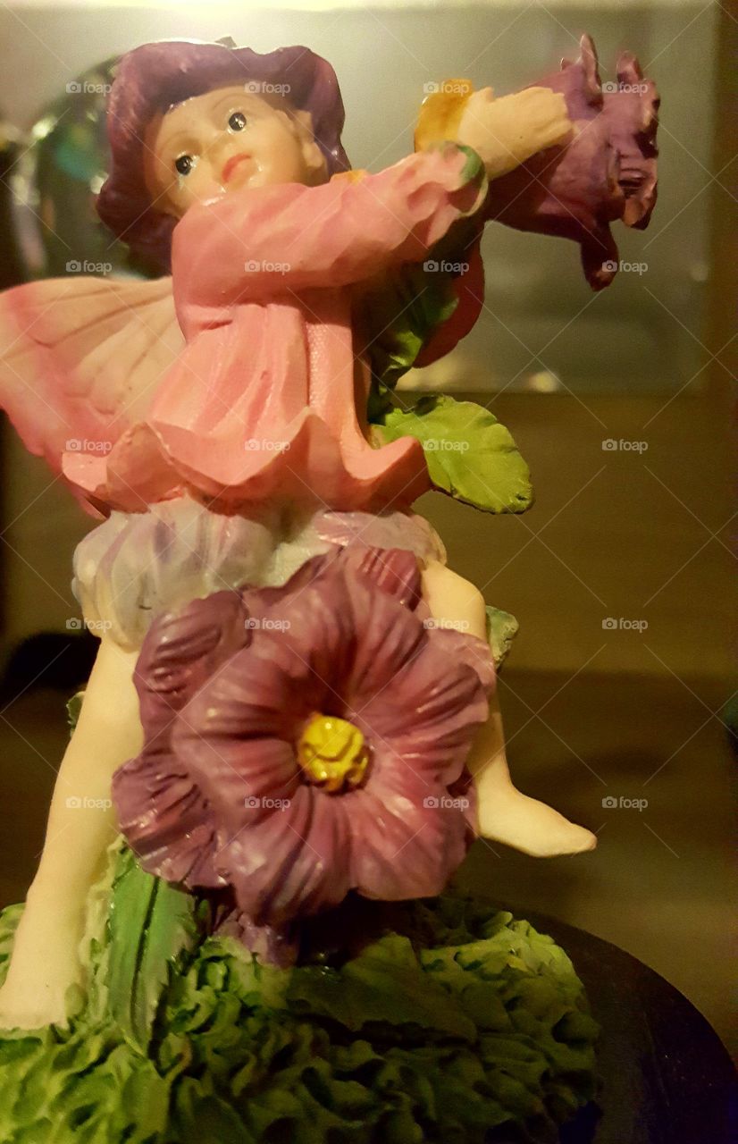 Beautiful macro shots