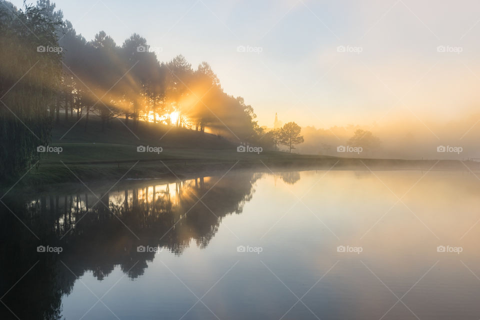 Reflection of trees and sunlight on the lake