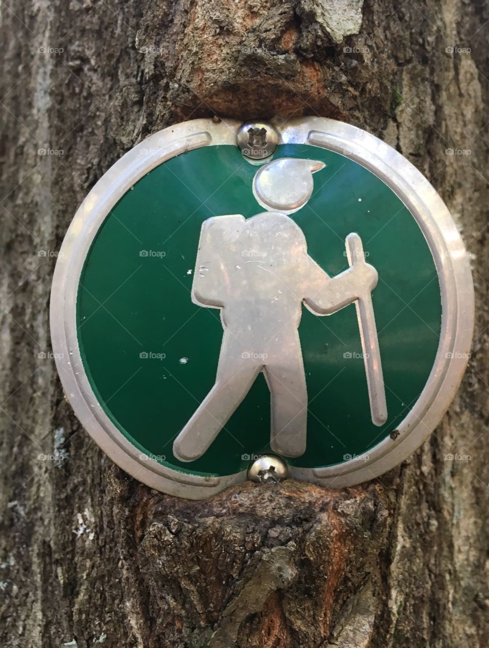 Trail marker for the High Ridge Trail at Historic Yates Mill Park. 