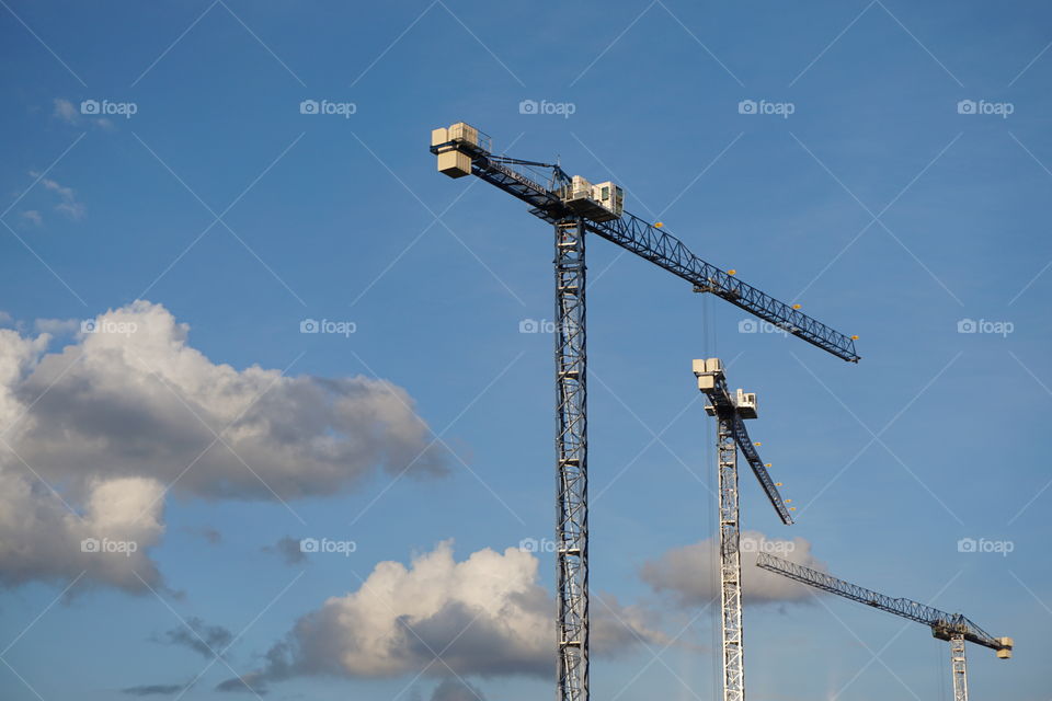 Cranes on cloudy background 