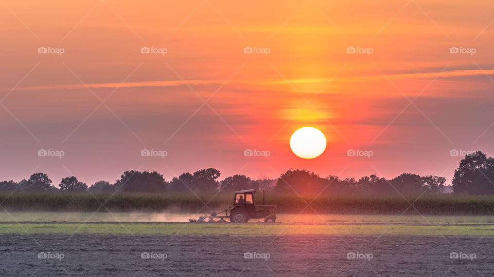 Górzno, Leszno, Poland