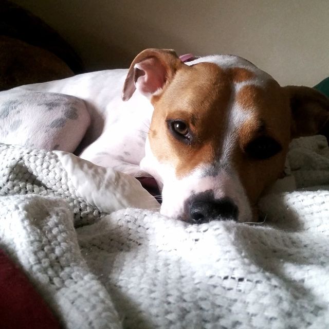 My Ride or Die.