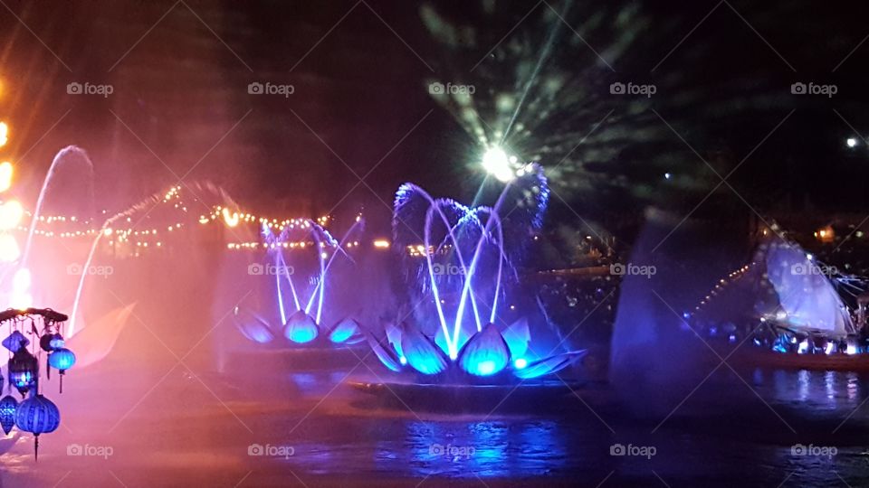 Brilliant lights captivate the night sky over the Discovery River during Rivers of Light at Animal Kingdom at the Walt Disney World Resort in Orlando, Florida.