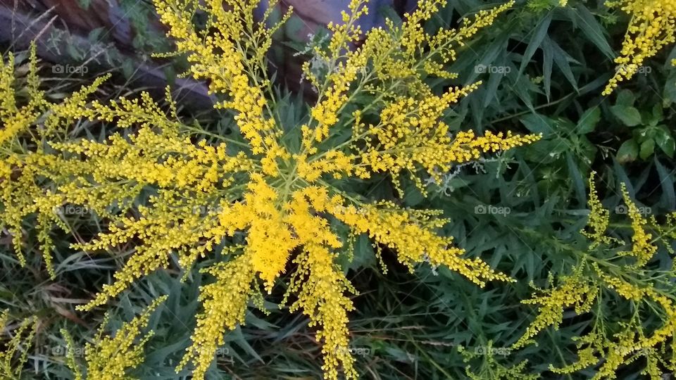 солнце на земле