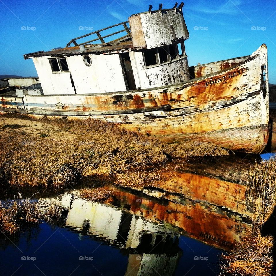 S. S. Point Reyes shipwreck