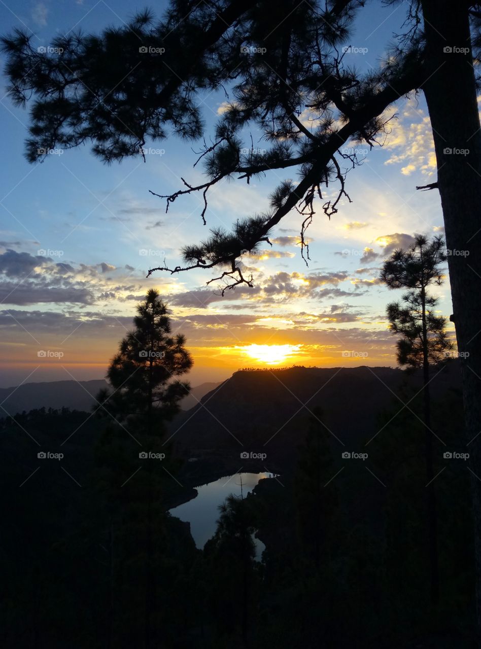 Sunset, Dawn, Tree, Landscape, No Person