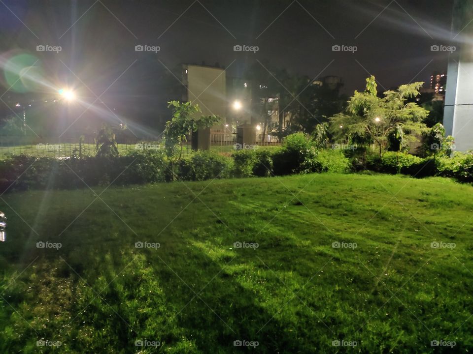 Green Beautiful Lawn,

Cloudy sky
Night 🌌 Scene