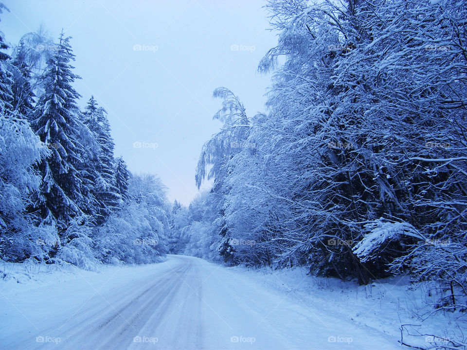 Snow-covered road through the forest