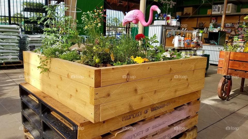 Wooden flowers and vegetables  bed