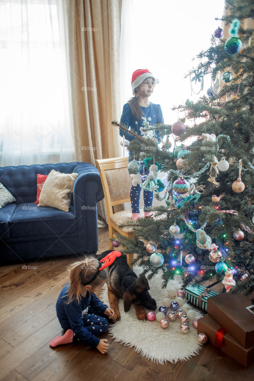 Little sisters with German shepherd puppy near Christmas tree 