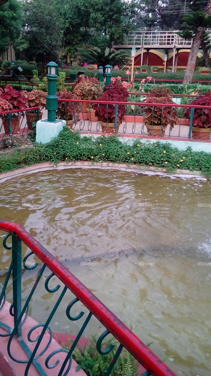 water pool