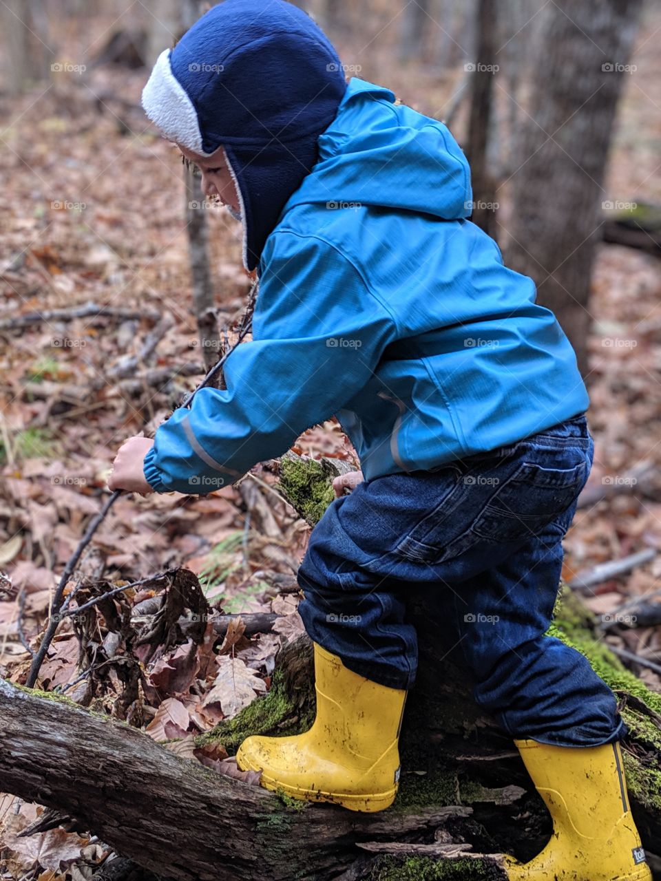 child exploring in the woods