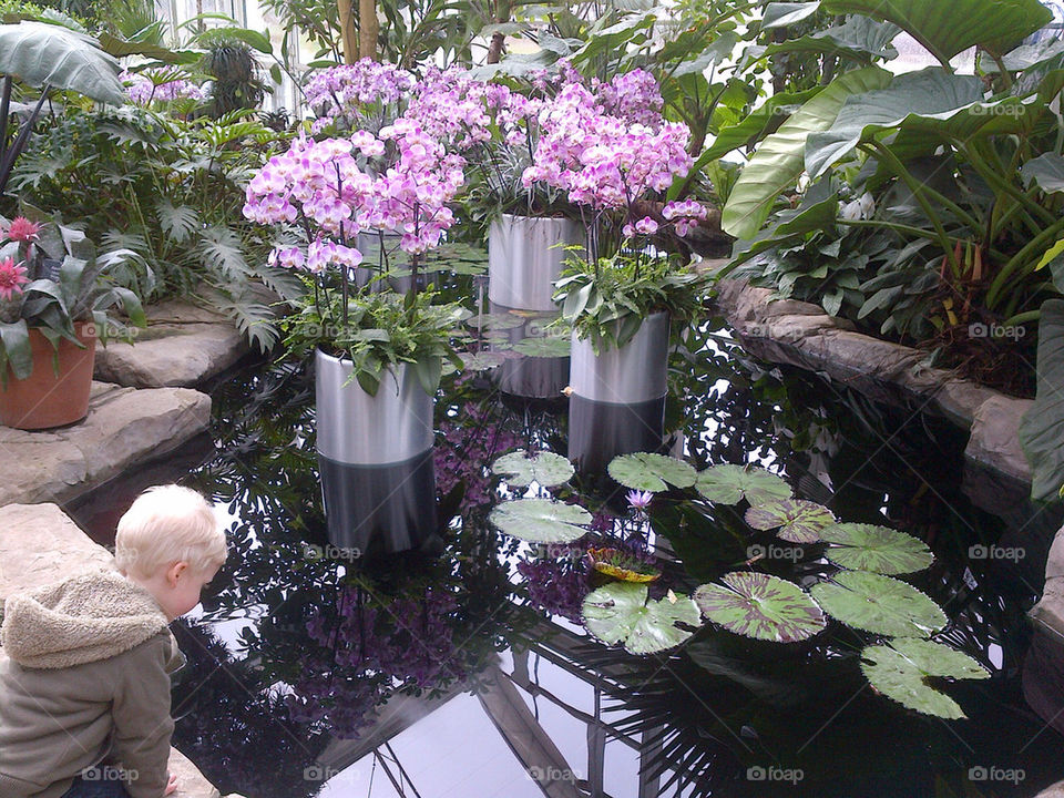 The tropical glass at RHS Wisley.