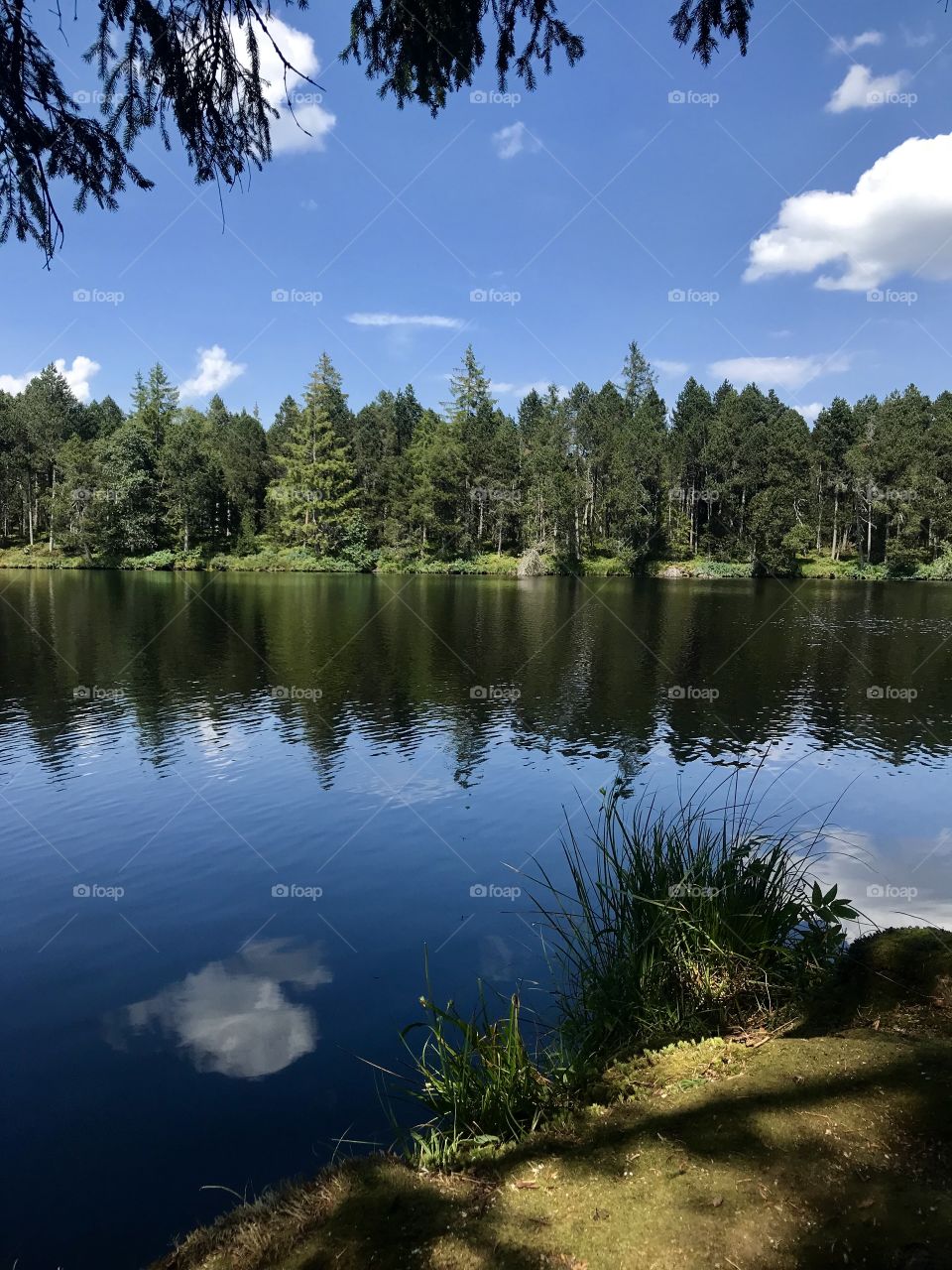 Suisse etang de gruère