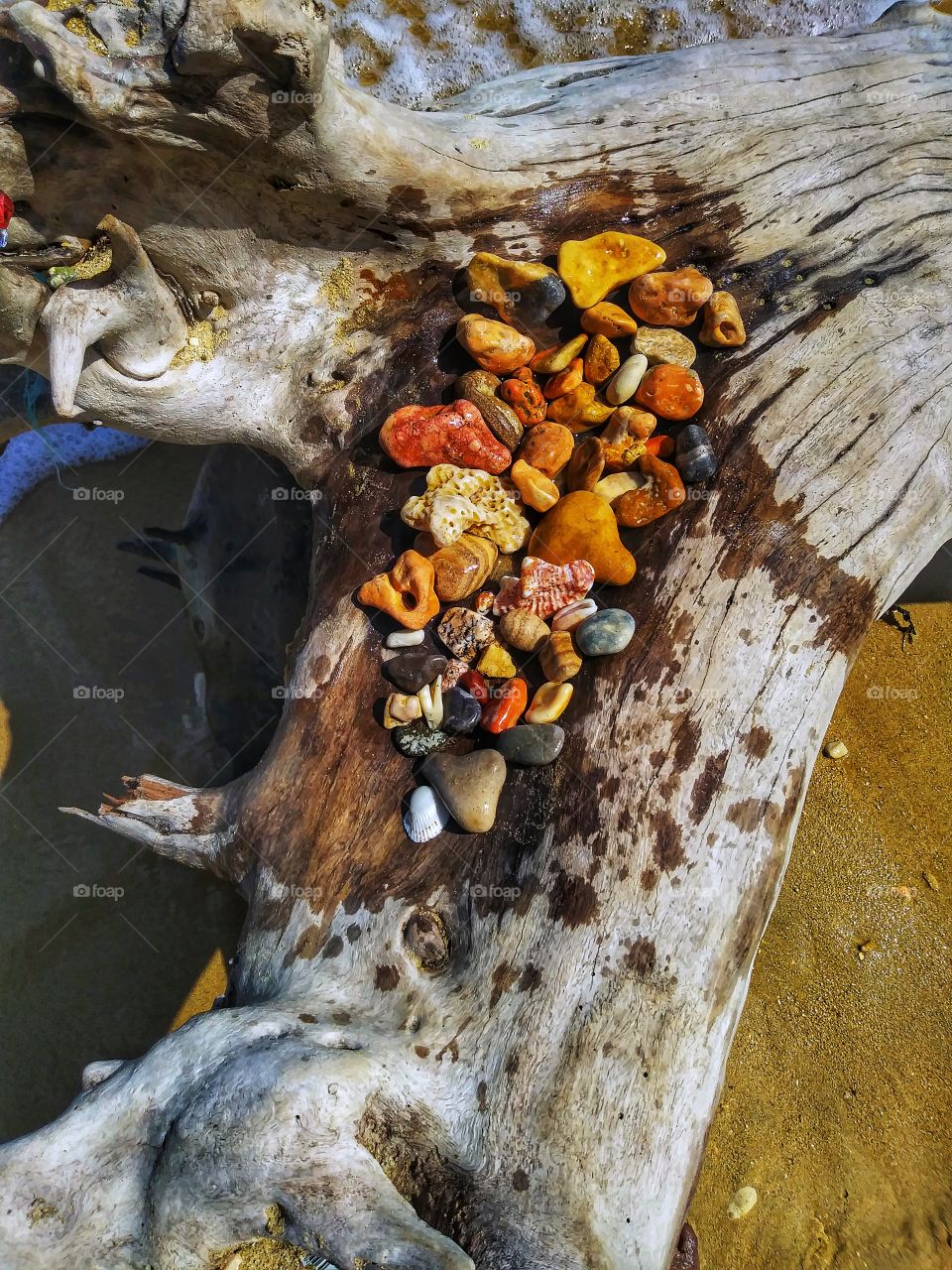 rocks from the beach on a log