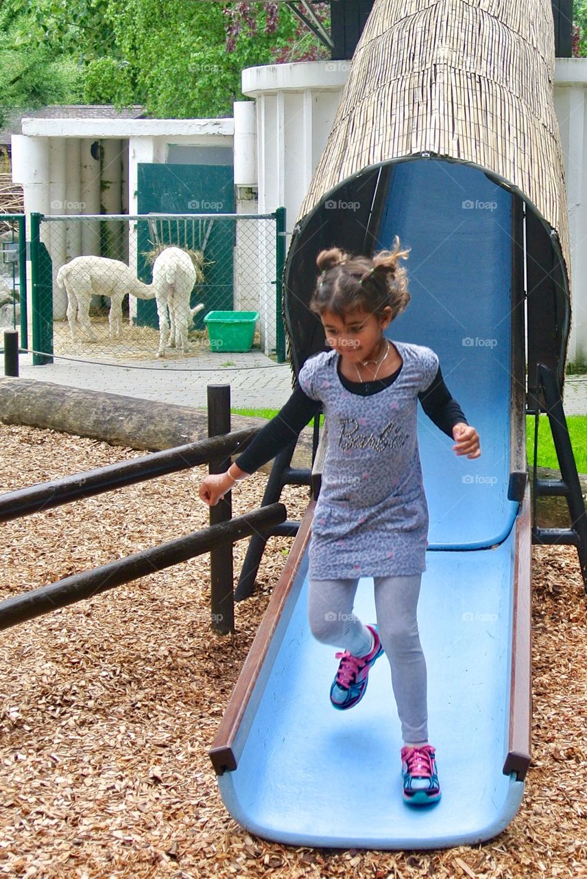 Fun slide