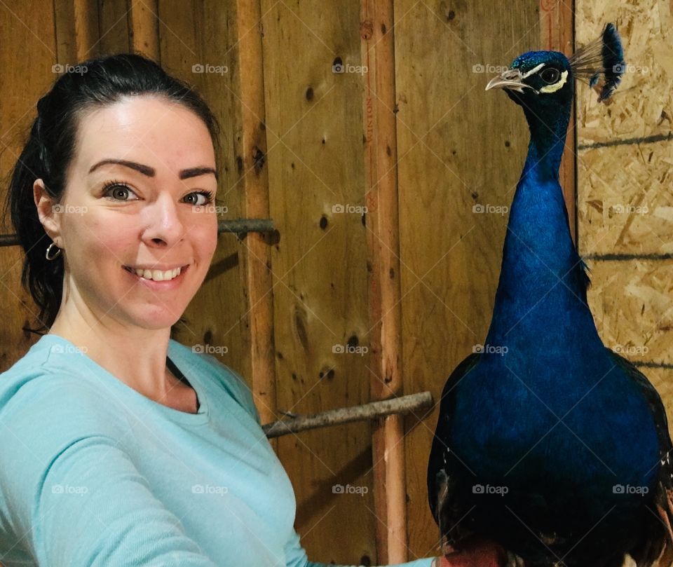 Peacock selfies!