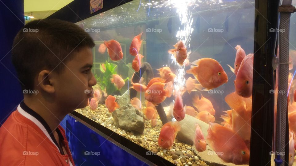 Orange thinker and the fish.