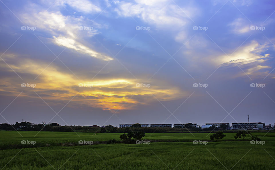 Beautiful light of Sunset with clouds in the sky reflection behind the building and paddy fields.