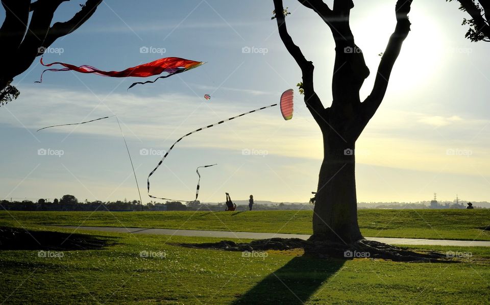 Flying Kites