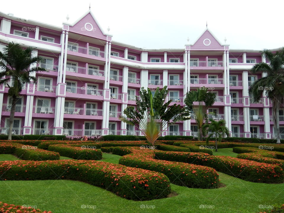 Lawn, Architecture, No Person, Garden, Building