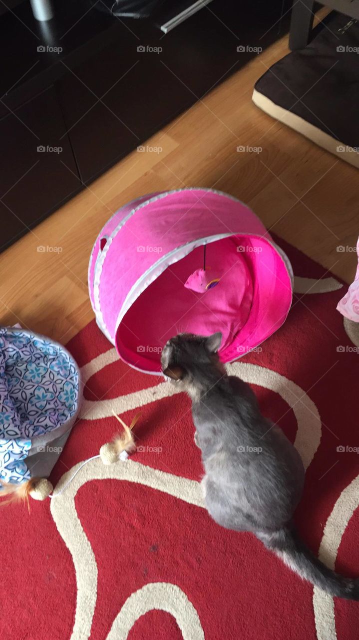 surprise surprise :)